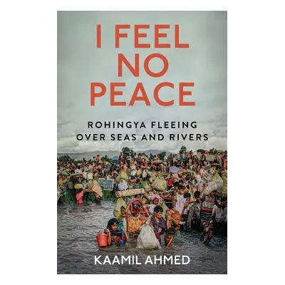 I Feel No Peace - Ahmed, Kaamil