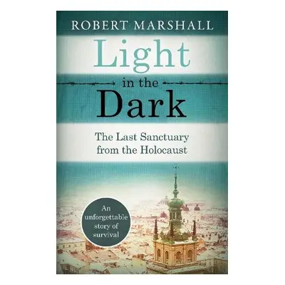 Light in the Dark - Marshall, Robert