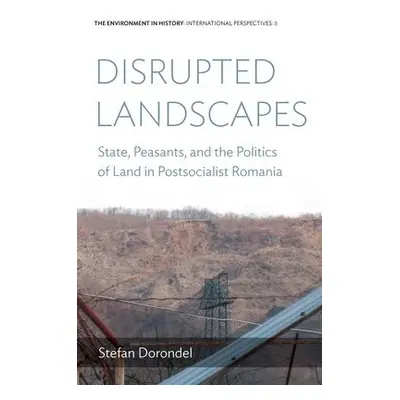 Disrupted Landscapes - Dorondel, Stefan