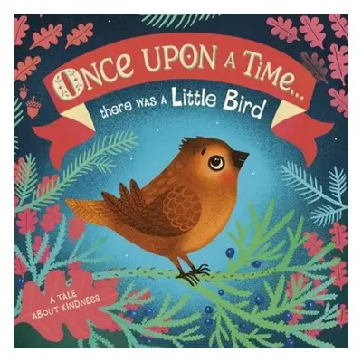 Once Upon A Time...there was a Little Bird - DK