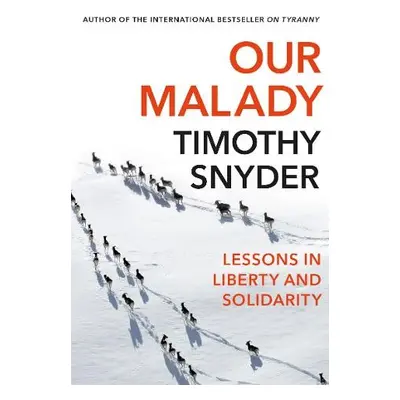 Our Malady - Snyder, Timothy