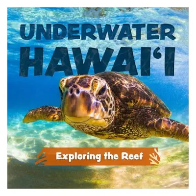 Underwater Hawai'i: Exploring The Reef - Riegert, Keith