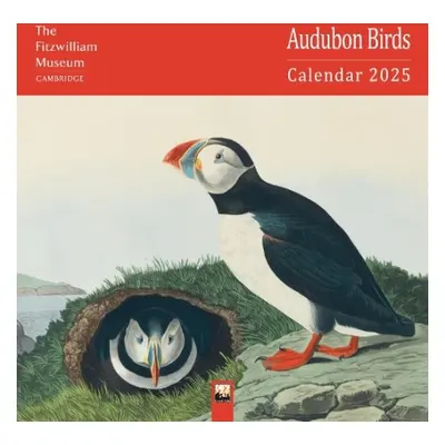 Fitzwilliam Museum: Audubon Birds Wall Calendar 2025 (Art Calendar)