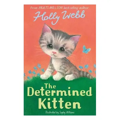 Determined Kitten - Webb, Holly