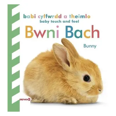 Babi Cyffwrdd a Theimlo: Bwni Bach / Baby Touch and Feel: Bunny - DK