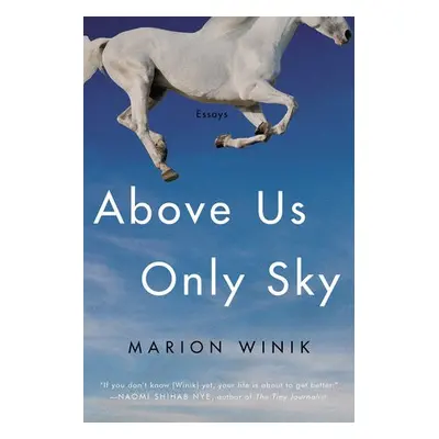 Above Us Only Sky - Winik, Marion