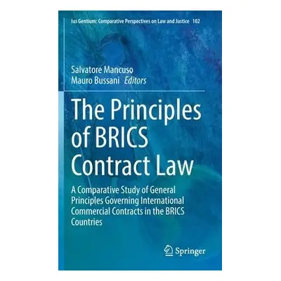 Principles of BRICS Contract Law