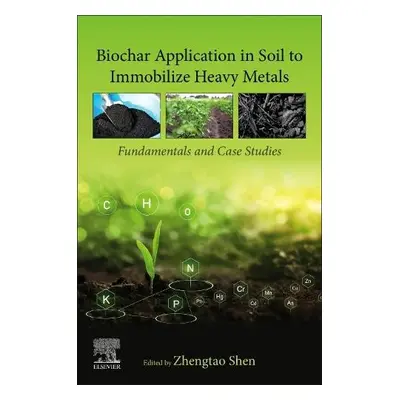 Biochar Application in Soil to Immobilize Heavy Metals