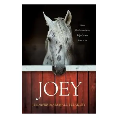 Joey - Bleakley, Jennifer Marshall