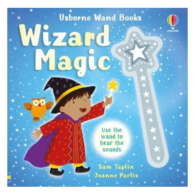 Wand Books: Wizard Magic - Taplin, Sam