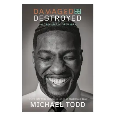 Damaged but Not Destroyed - Todd, Michael