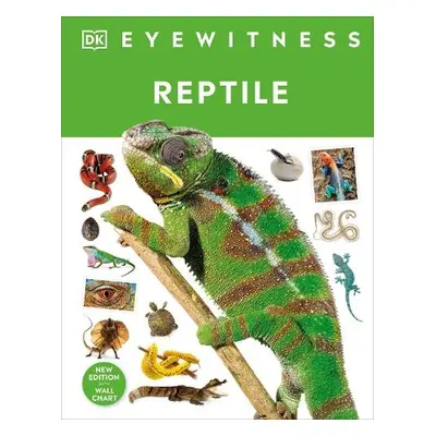 Reptile - McCarthy, Colin