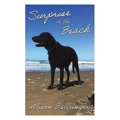 Surprise at the Beach - Bellringer, Alison