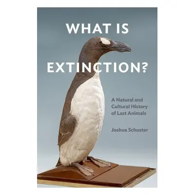 What Is Extinction? - Schuster, Joshua