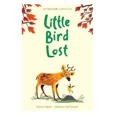 Little Bird Lost - Hegarty, Patricia