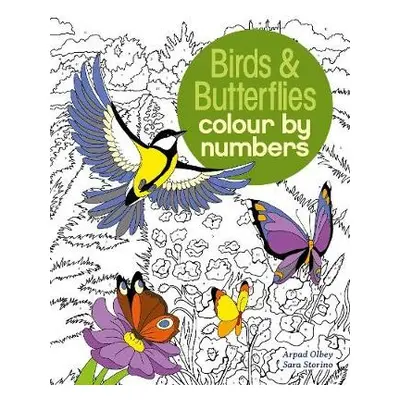 Birds a Butterflies Colour by Numbers - Storino, Sara (Illustrator) a Olbey, Arpad (Illustrator)