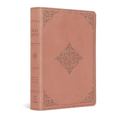 ESV Value Large Print Compact Bible