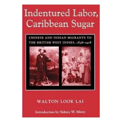 Indentured Labor, Caribbean Sugar - Lai, Walton Look