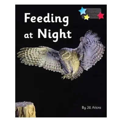 Feeding at Night - Atkins, Jill a Atkins Jill