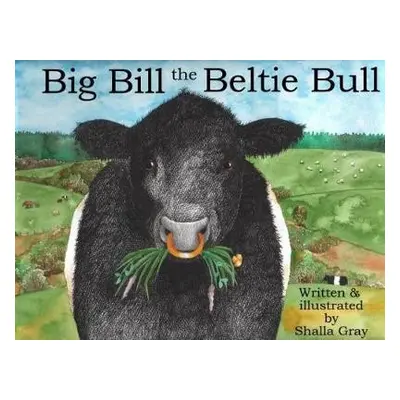 Big Bill the Beltie Bull