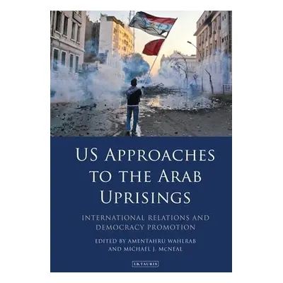 US Approaches to the Arab Uprisings