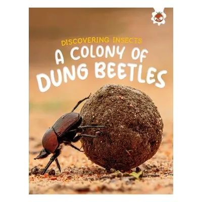 Discovering Insects: A Colony of Dung Beetles - Storm, Rebecca