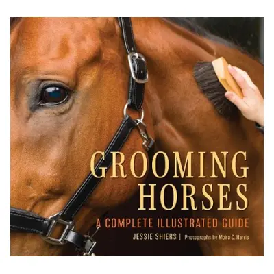 Grooming Horses - Shiers, Jessie