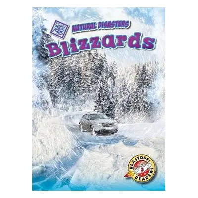 Blizzards - Rathburn, Betsy