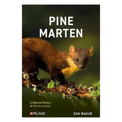 Pine Marten - Bagur, Dan