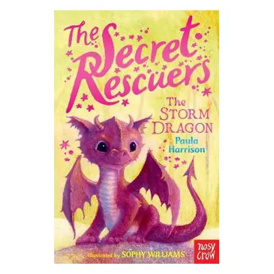 Secret Rescuers: The Storm Dragon - Harrison, Paula