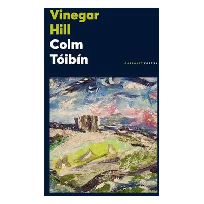 Vinegar Hill - Toibin, Colm