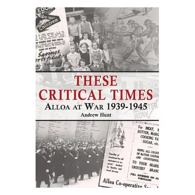 These Critical Times - Hunt, Andrew