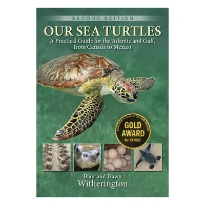 Our Sea Turtles - Witherington, Blair a Witherington, Dawn