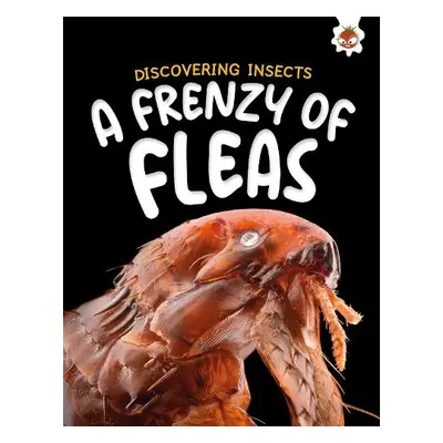 Discovering Insects: A Frenzy of Fleas - Storm, Rebecca