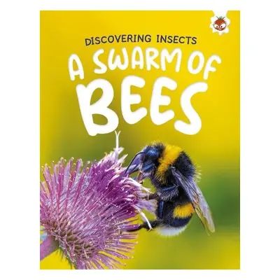 Discovering Insects: A Swarm of Bees - Storm, Rebecca