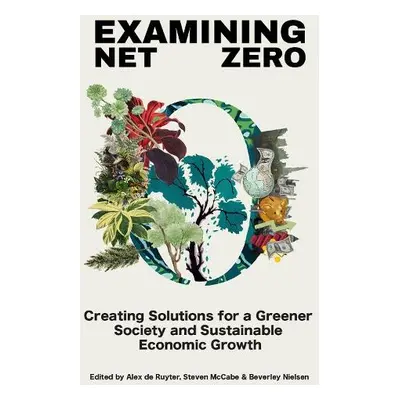 Examining Net Zero