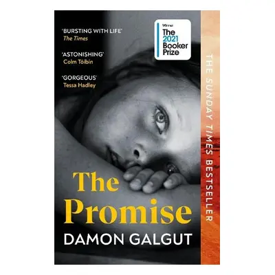 The Promise - Galgut, Damon