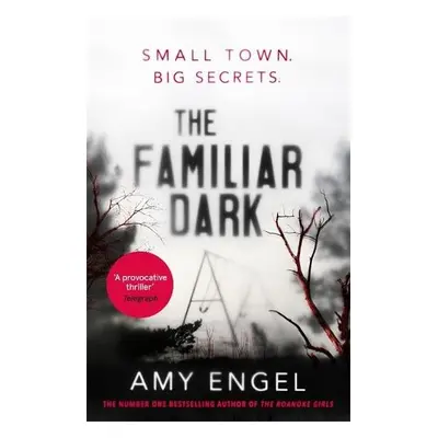 Familiar Dark - Engel, Amy