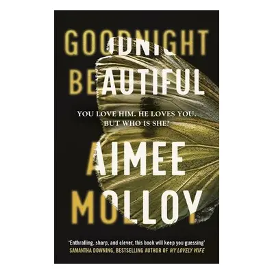 Goodnight, Beautiful - Molloy, Aimee