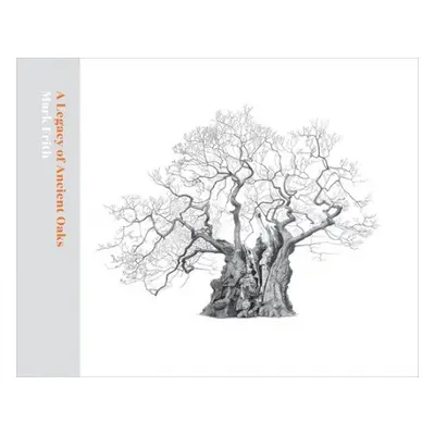 Legacy of Ancient Oaks - Frith, Mark