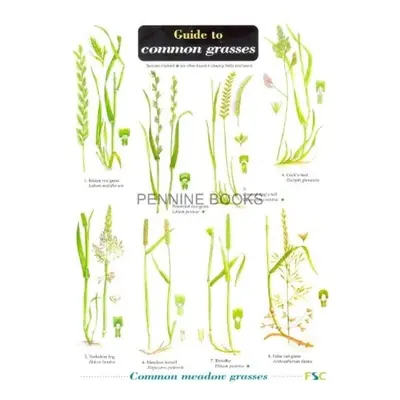 Guide to Common Grasses - Gardener, Mark