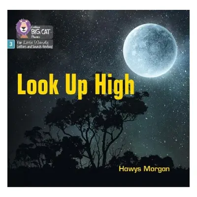 Look Up High - Morgan, Hawys