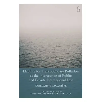 Liability for Transboundary Pollution at the Intersection of Public and Private International La