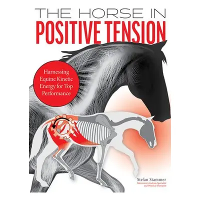 Horse in Positive Tension - Stammer, Stefan