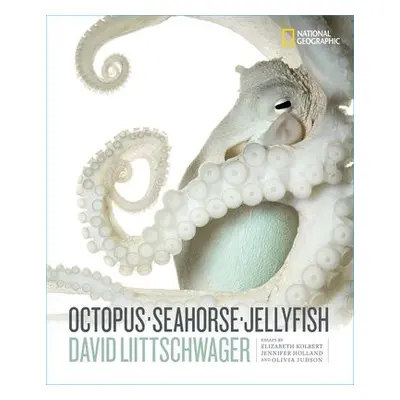 Octopus, Seahorse, Jellyfish - Littschwager, David