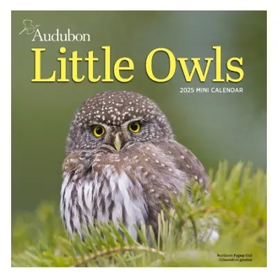 Audubon Little Owls Mini Wall Calendar 2025 - Society, National Audubon a Calendars, Workman