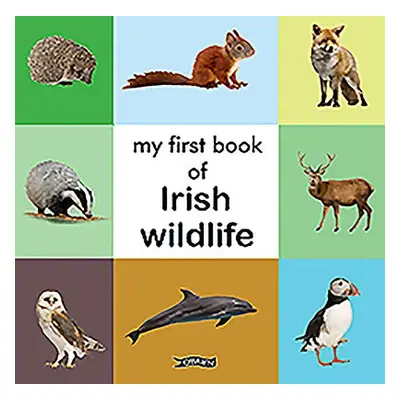 My First Book of Irish Wildlife