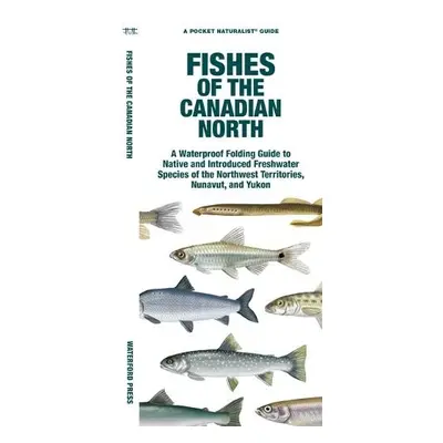 Fishes of the Canadian North - Waterford Press, Waterford Press a Morris, Matthew