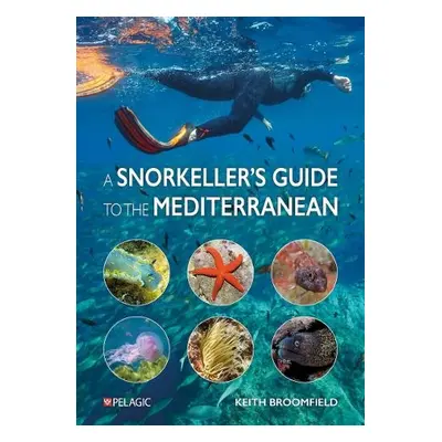 Snorkeller’s Guide to the Mediterranean - Broomfield, Keith