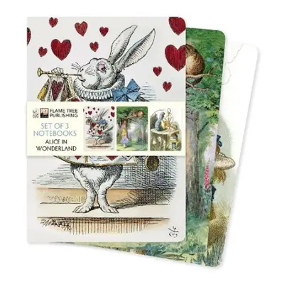 Alice in Wonderland Set of 3 Standard Notebooks